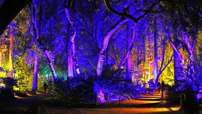 Descanso gardens