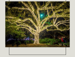Brookgreen Gardens A Beautiful Blend Of Nature And Art