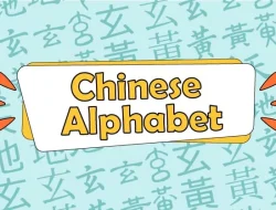 Chinese Food Delivery Near Me Cash Payment Made Easy