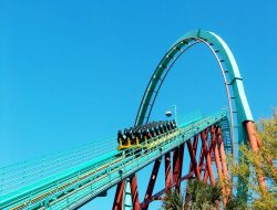 busch gardens tampa bay A Unique Adventure Awaits