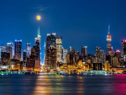 ny prepper The Art and Science of Translation Explored