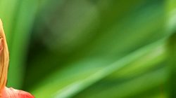 Better Homes And Gardens Explore The Essence Of Living Well