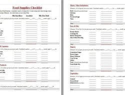 Prepper bag checklist essential items for readiness