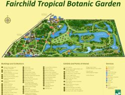 Botanical Gardens Near Me A Lush Escape Awaits