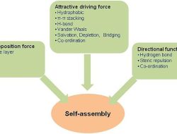 Self Storage Near Me Solutions For Your Space Needs