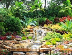 Botanical gardens a glimpse into natures beauty