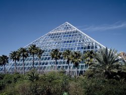 moody gardens Exploring Nature and Fun Adventures