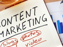 Marketing automation and email marketing platform insights