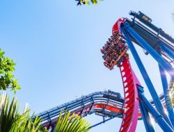 busch gardens Unveiled A Journey Through Natures Wonders